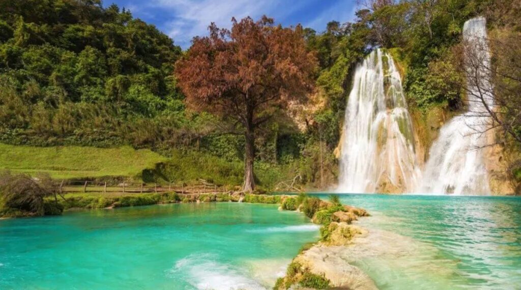 Best Time to Visit Huasteca Potosina